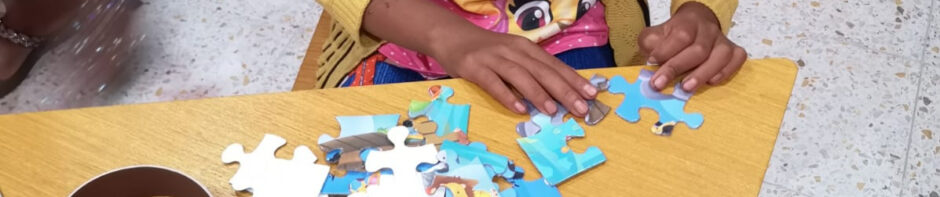 The Phoenix Projects