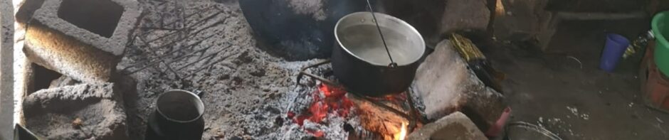 The Phoenix Projects