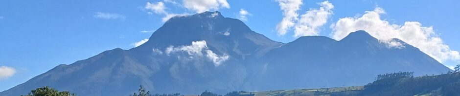 The Phoenix Projects